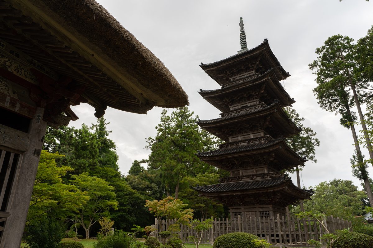 The five-storey pagoda of Myosenji behind a wooden fence, with the thatched eaves of a temple building in the foreground.