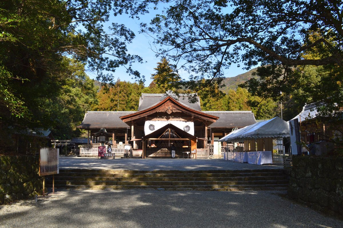 The worship hall of Tosa-jinja Shrine seen from the front across a gravel ground and low stone steps, framed by tree branches, with a white tent to the right.